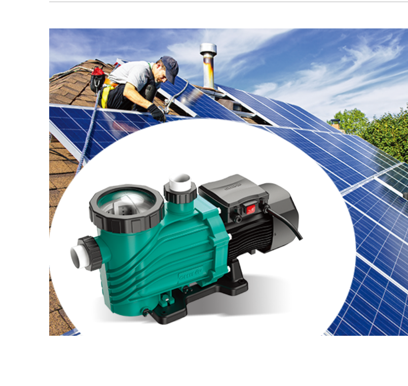 مضخة حوض السباحة 2023 _5-6_04